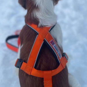 Tursele med stikk på begge sider