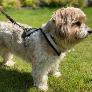 Tursele med Fleece - liten serie