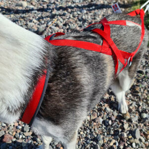 Kombi Nomesele med ringer i sidene