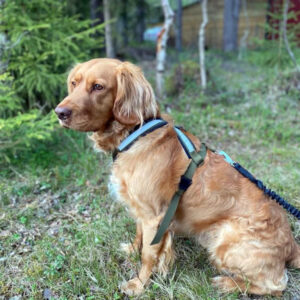 Tursele med feste på en side