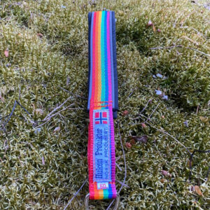 Regnbue halsbånd - fast lengde