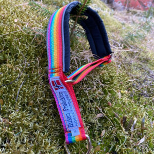 Regnbue halsbånd - Justerbart