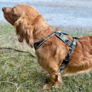 Kamuflasje - Tursele med feste på en side